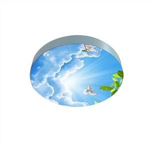Lichtkasten für abgehängte Decken